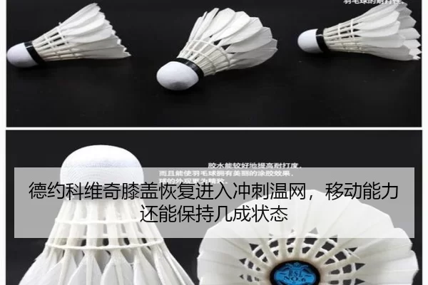 德约科维奇膝盖恢复进入冲刺温网，移动能力还能保持几成状态