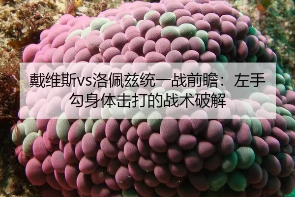 dai-wei-si-luo-pei-zi-tong-yi-zhan-qian-zhan-zuo-shou-gou-shen-ti-ji-da-de-zhan-shu-po-jie-2-495.jpg